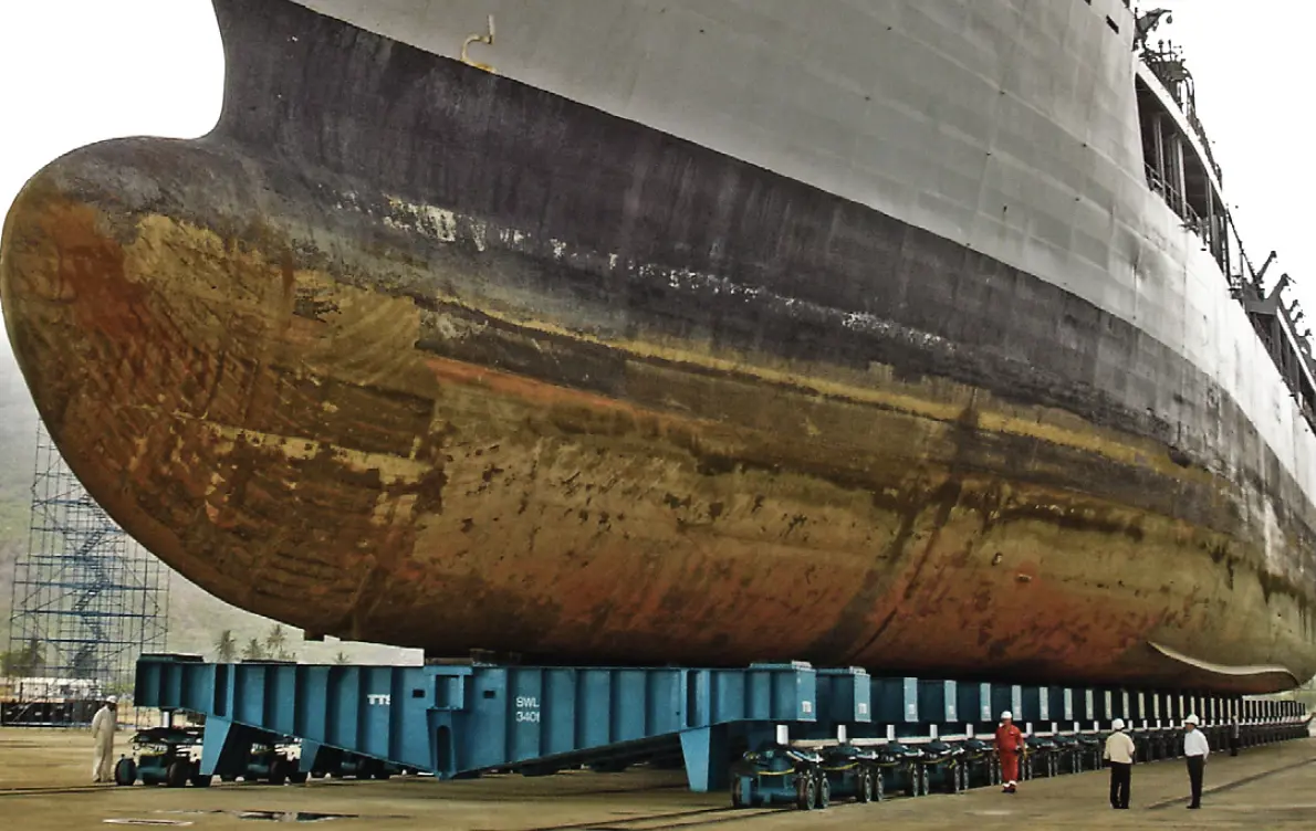 Fluid Bed Transfer System 1